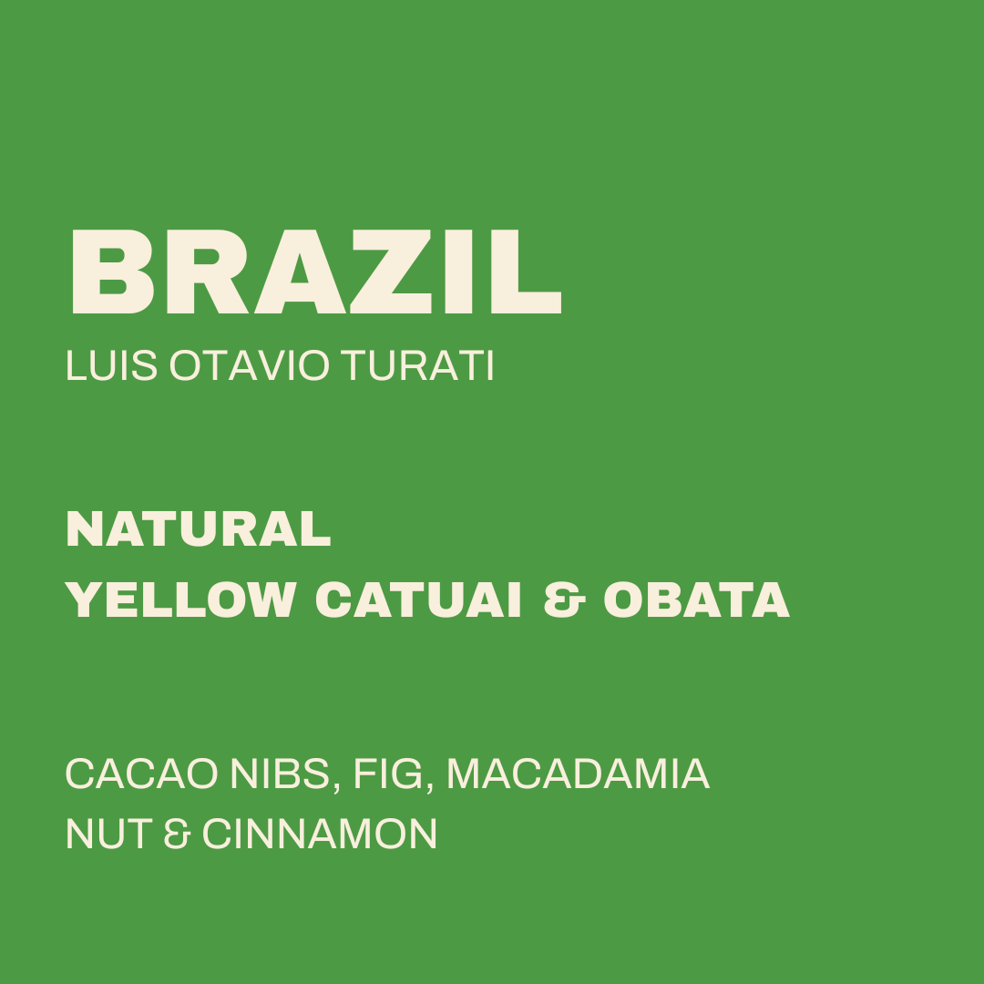 BRAZIL - LUIS OTAVIO TURATI