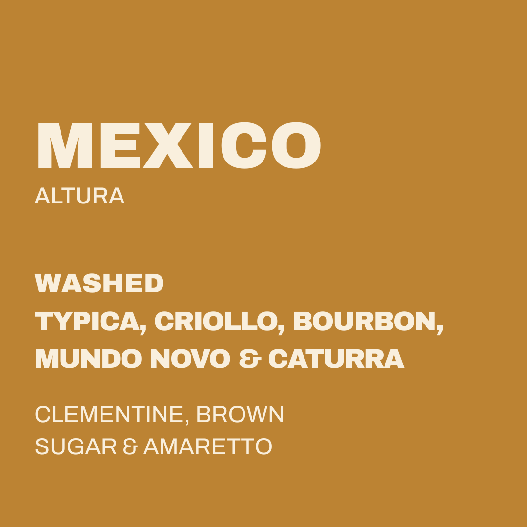 MEXICO - ALTURA