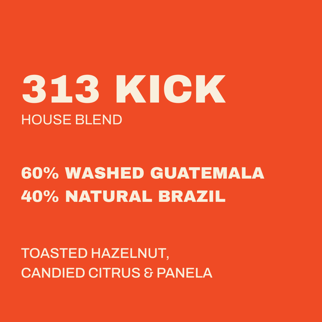 313 KICK