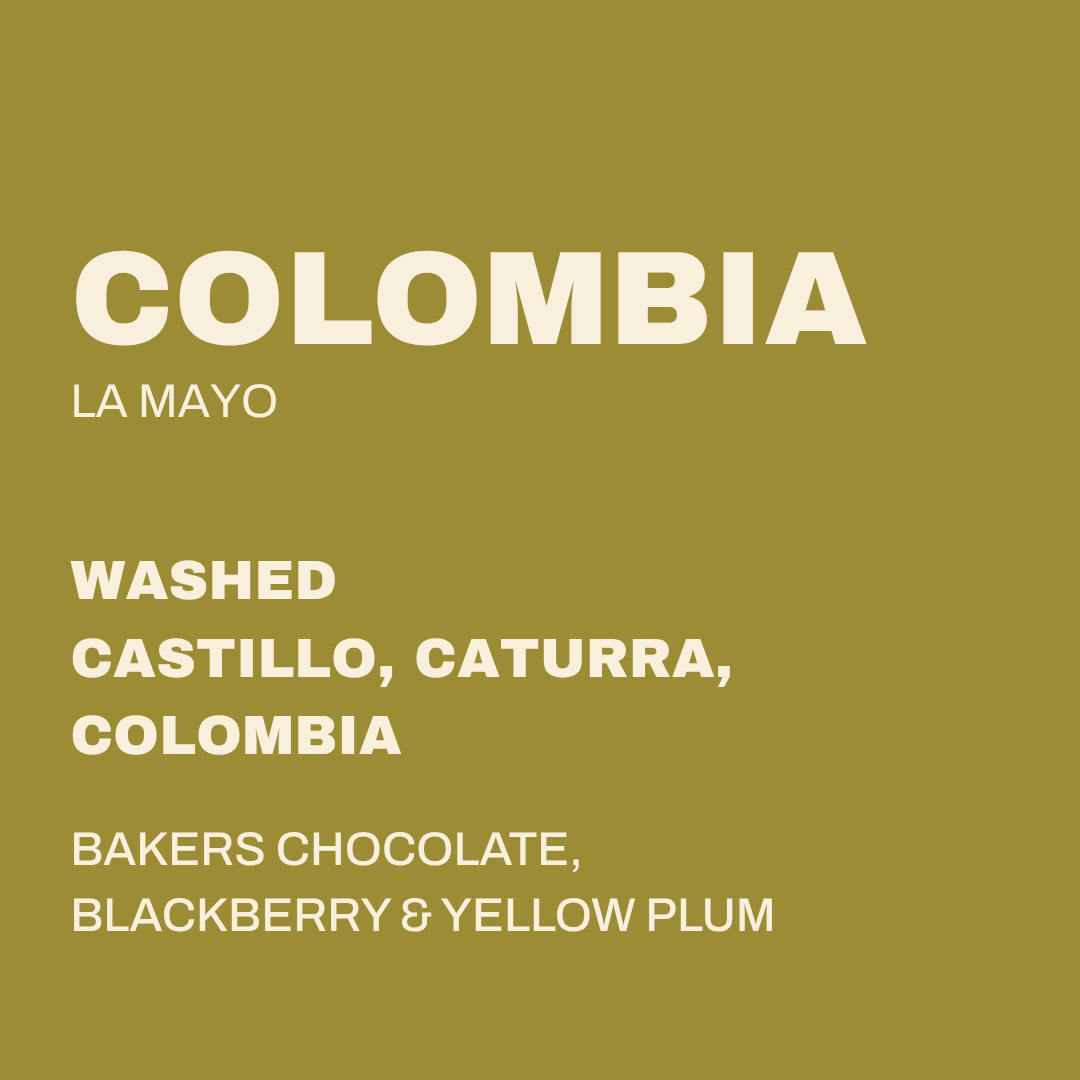 COLOMBIA - LA MAYO