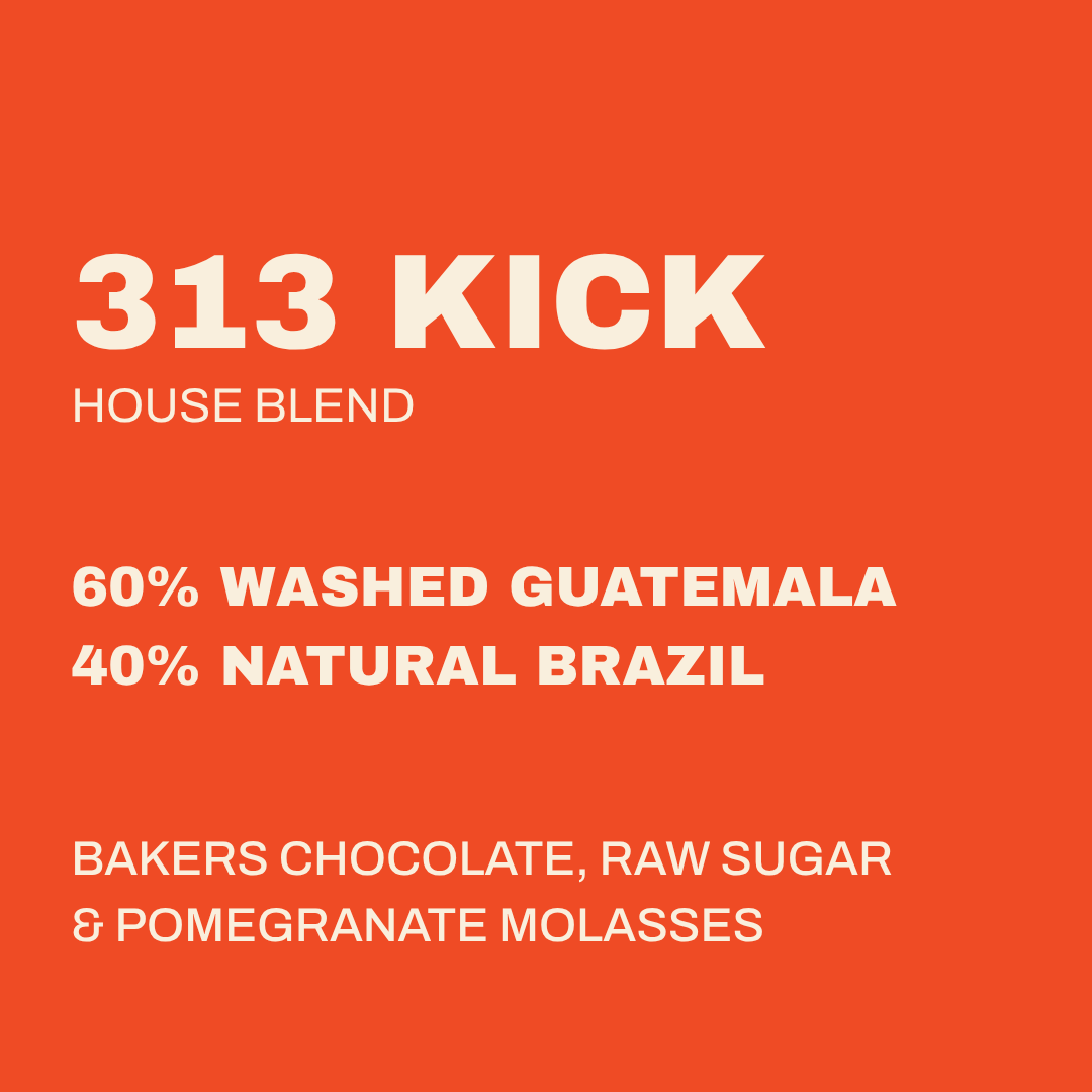 313 KICK