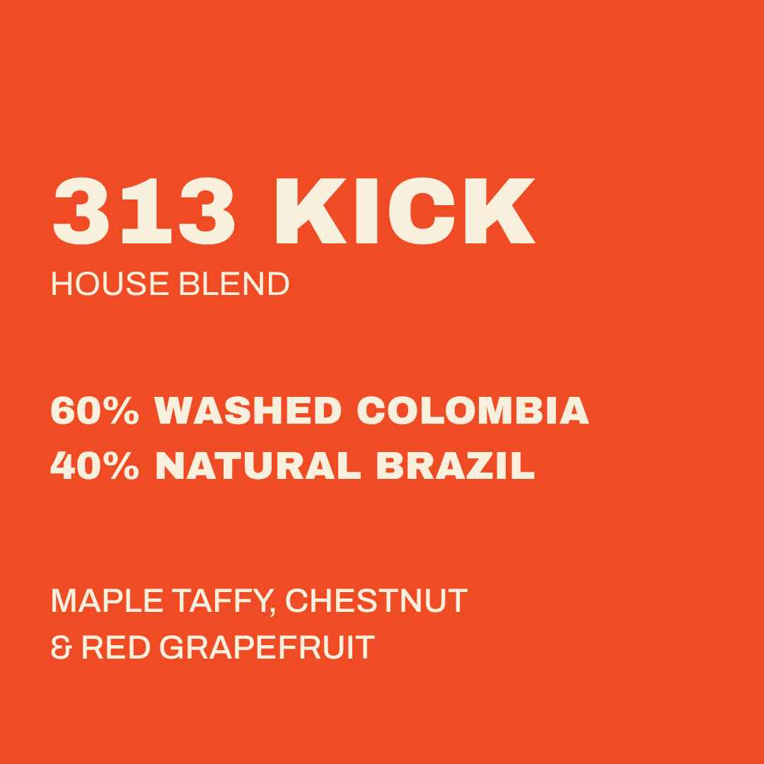 313 KICK