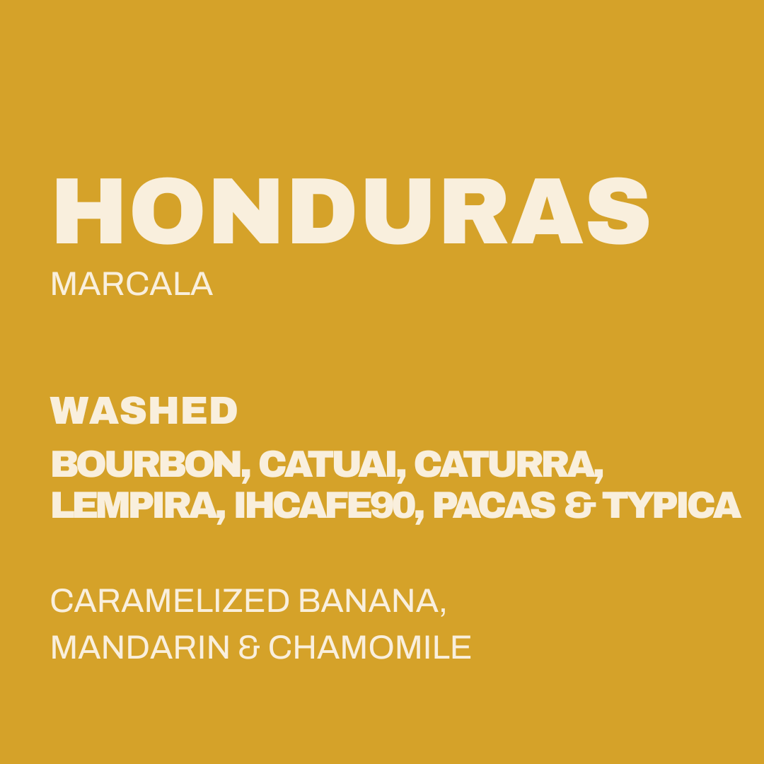 HONDURAS - MARCALA