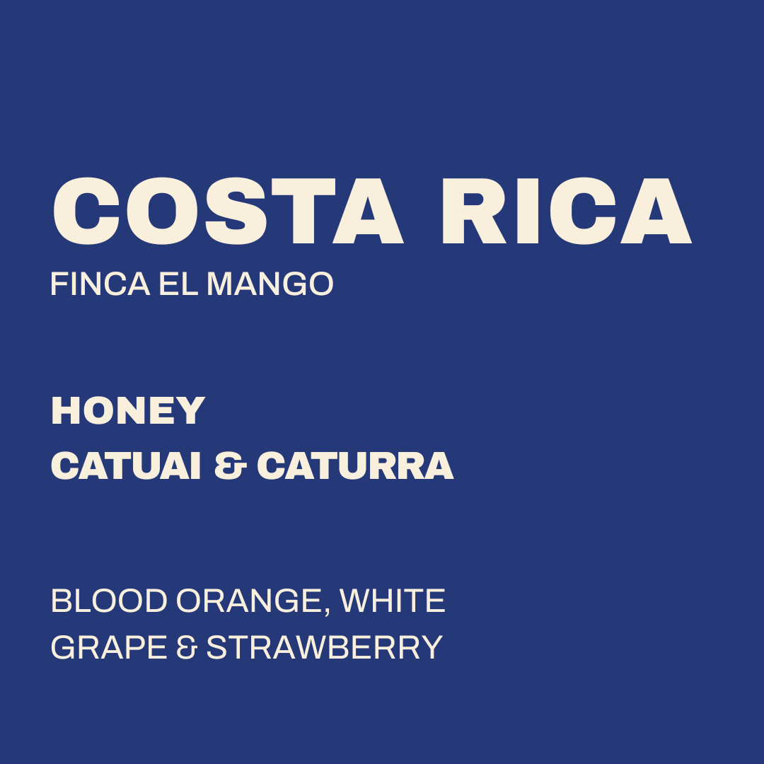 COSTA RICA - EL MANGO