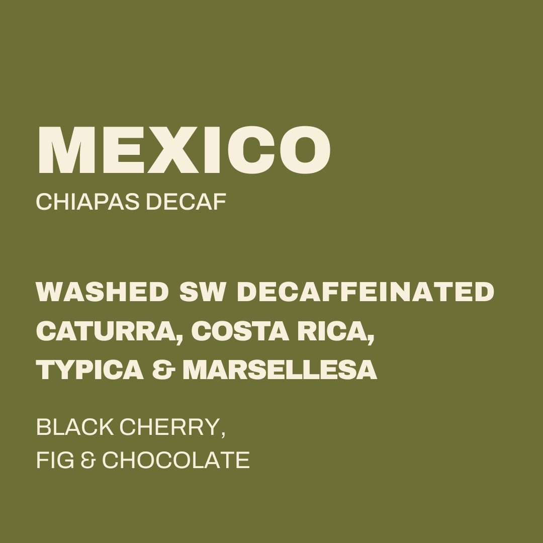 MEXICO - CHIAPAS DECAF
