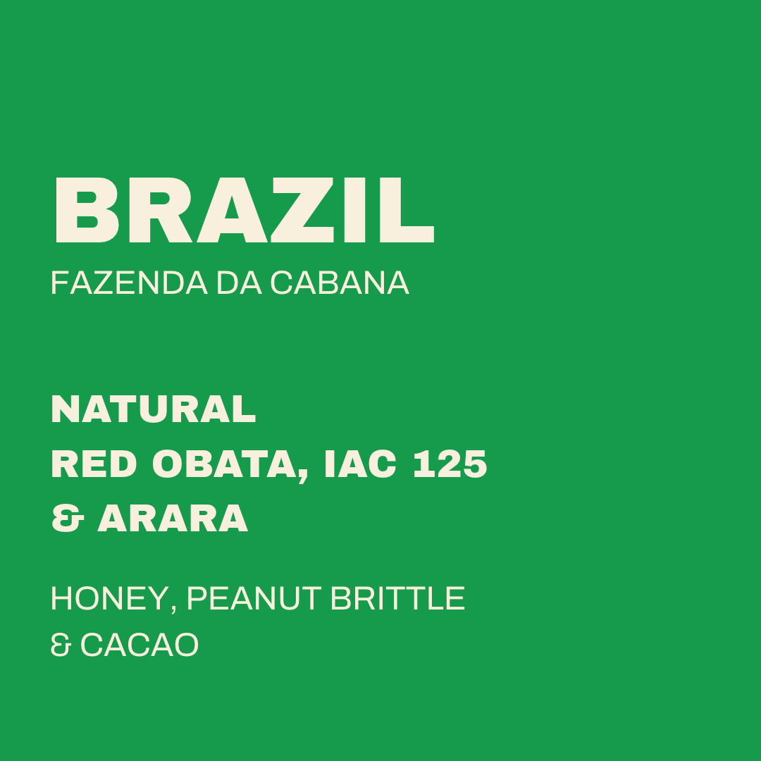 BRAZIL - FAZENDA DA CABANA