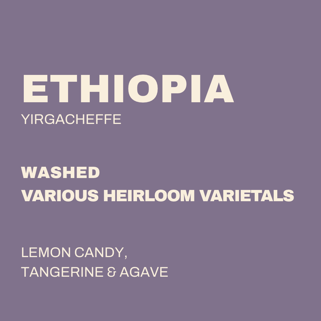 ETHIOPIA - YIRGACHEFFE
